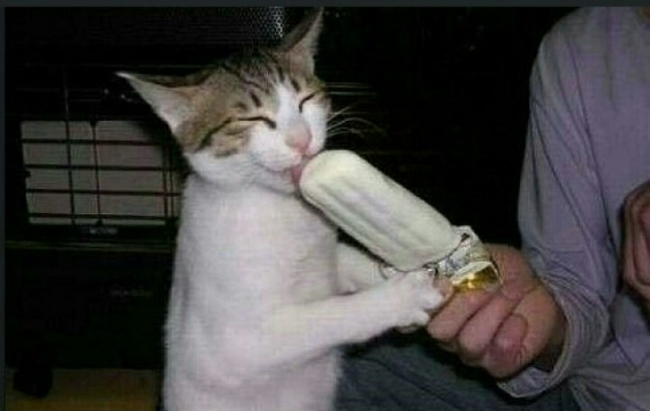 진짜 이미지