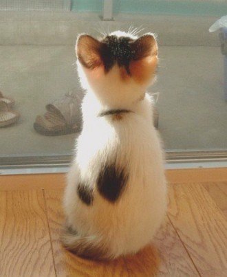 숨 넘어가는 뒤태 | 인스티즈