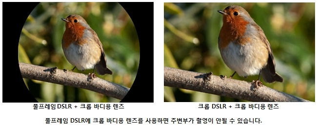 풀바디 이미지