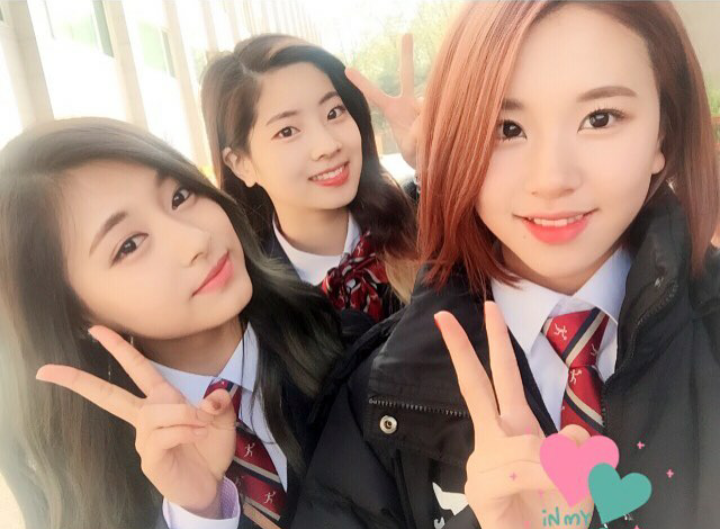 트와이스 최고의 라인은?? | 인스티즈