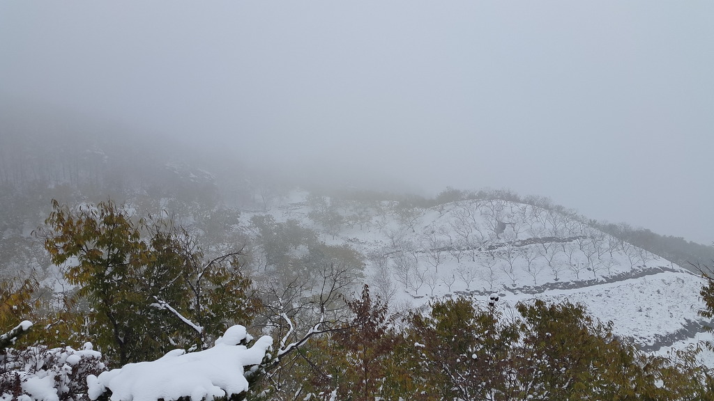 칠갑산하 이미지