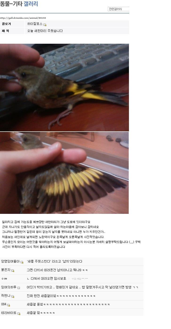 디씨의 흔한 줍기 클라스.jpg | 인스티즈