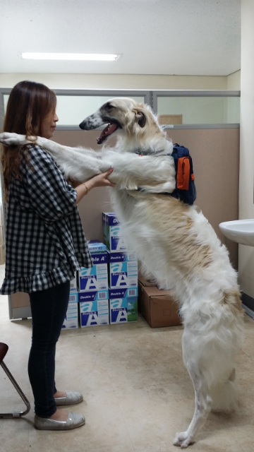 한결 이미지