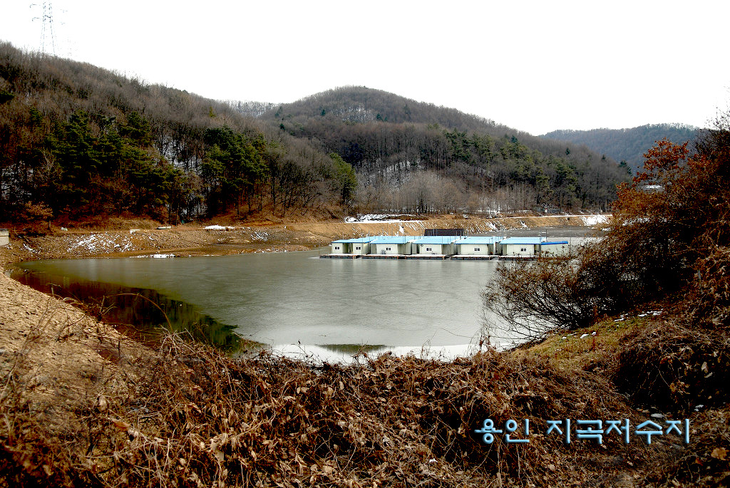 카페고향집 이미지