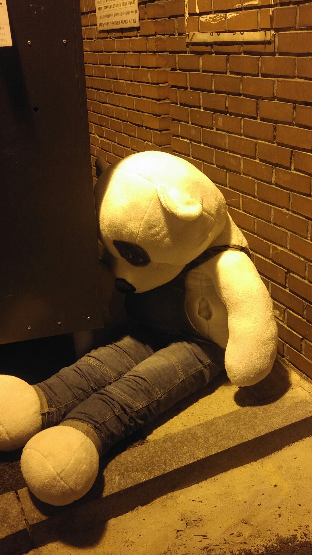 주인이 날 버렸어 ㅠㅜ | 인스티즈