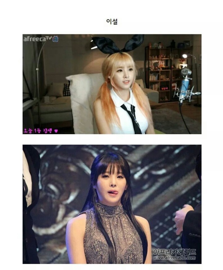 아프리카 bj들 실물모습 | 인스티즈