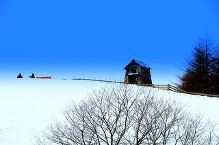 코디여행사 이미지
