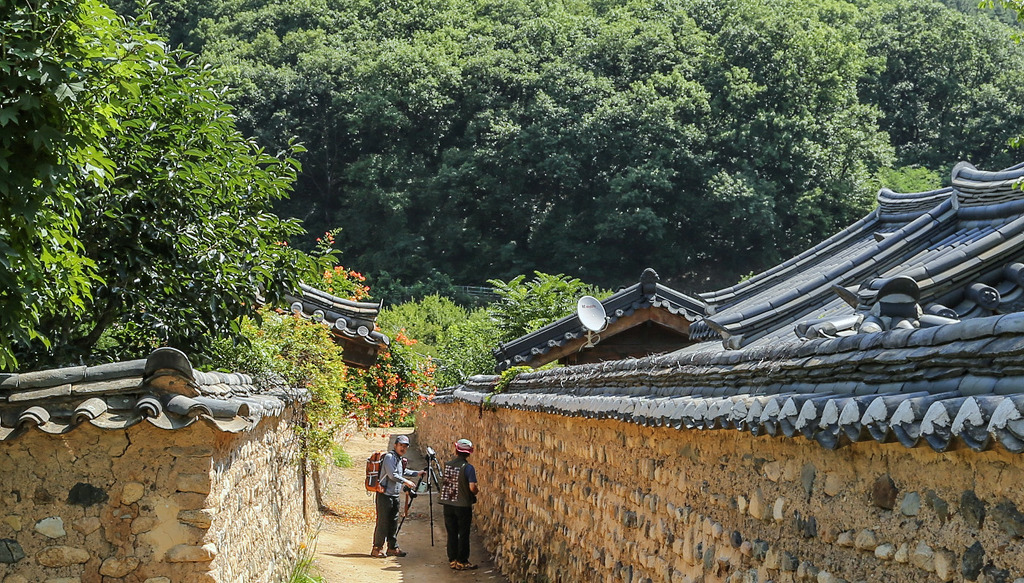 문 이미지