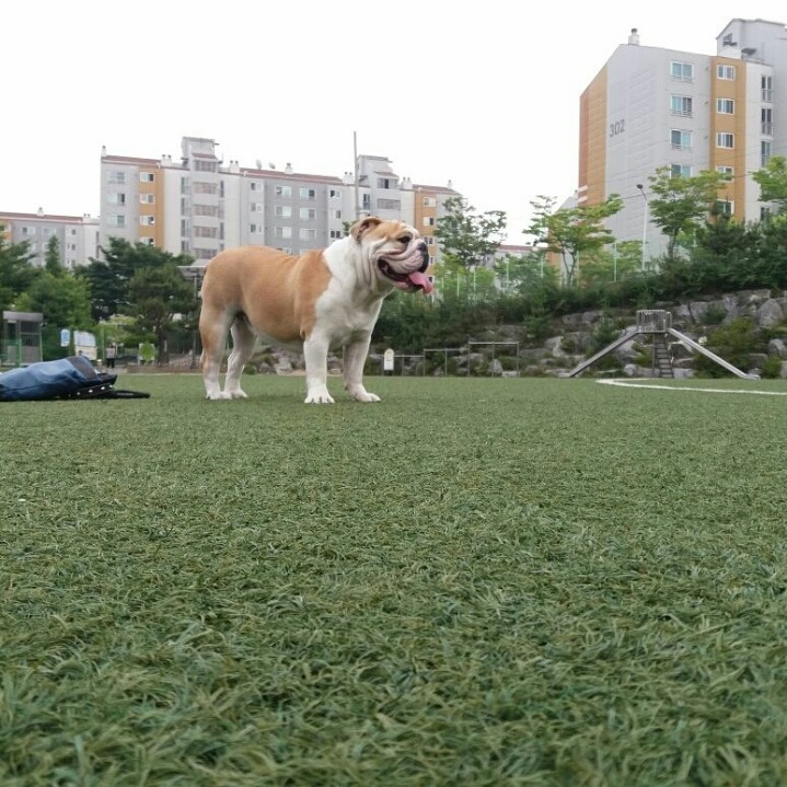 엣찌 이미지