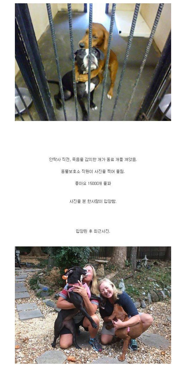 목숨을 살린 사진한장 | 인스티즈