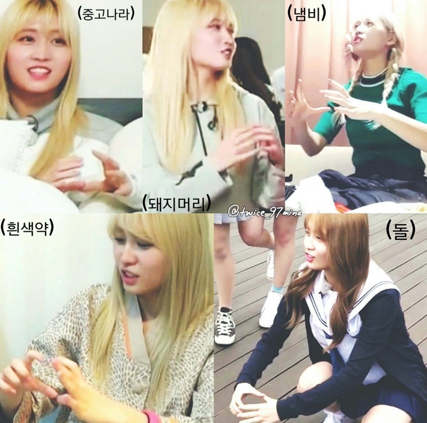 트와이스 일본3인방 버릇 | 인스티즈