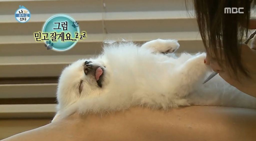 순심이 이미지