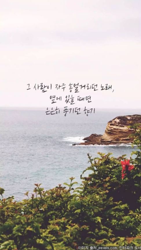 진하게 사랑했던 사람이 문득 떠오르는 이유 | 인스티즈