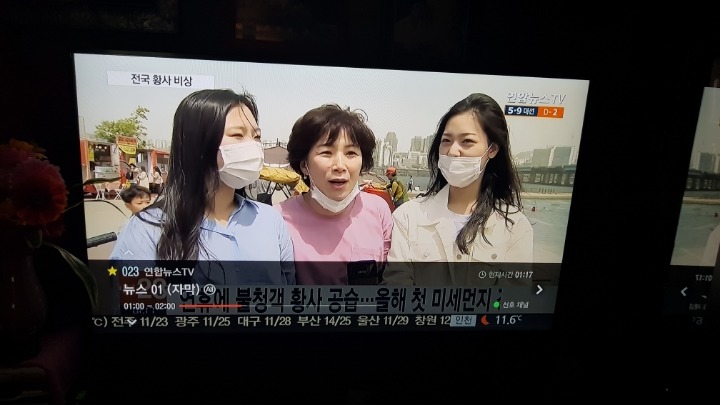 강릉에 재난수준 산불났는데... | 인스티즈