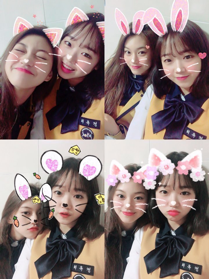 아이오아이 긴머리 최유정 vs 단발 최유정 | 인스티즈