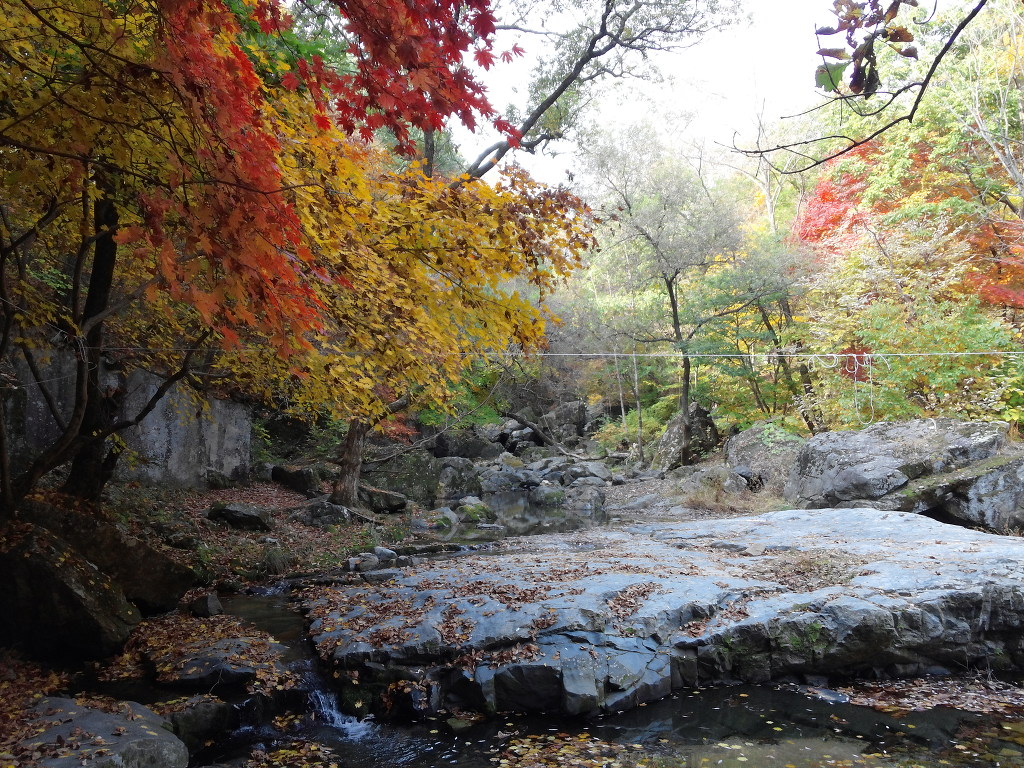 산중농원 이미지