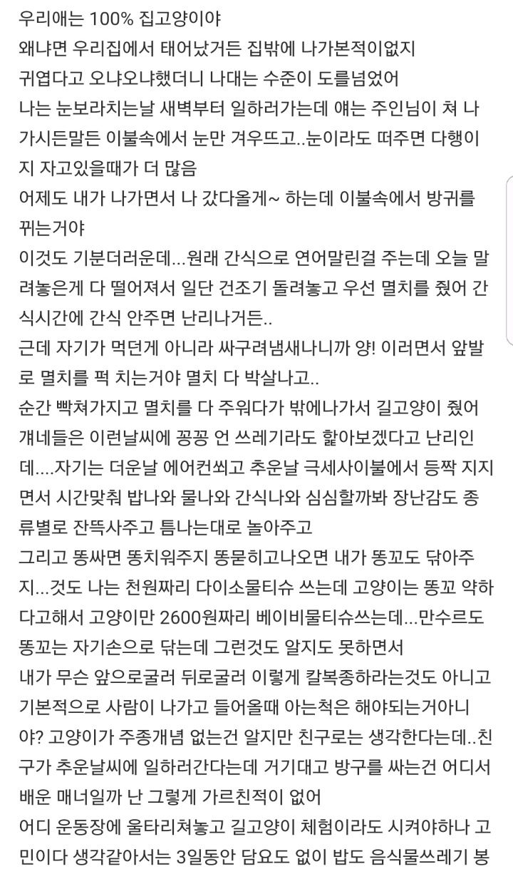 고양이가 이렇게 싹수가 없어도 되는거야? | 인스티즈