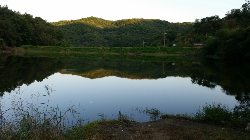 안골관광농원 이미지