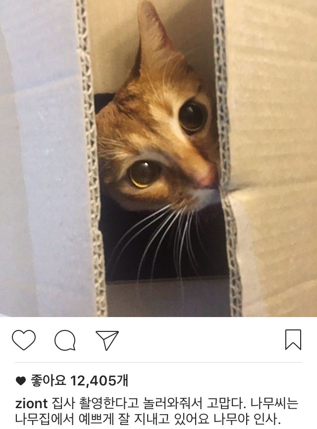 자이언티 인스타 | 인스티즈