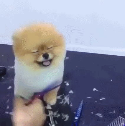 졸려요 언니.gif | 인스티즈