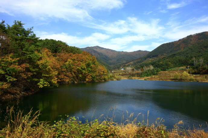 파랑새조경 이미지
