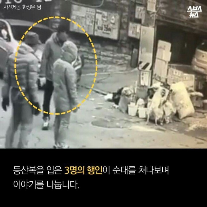 제 강아지가 잡아 먹혔습니다.jpg | 인스티즈