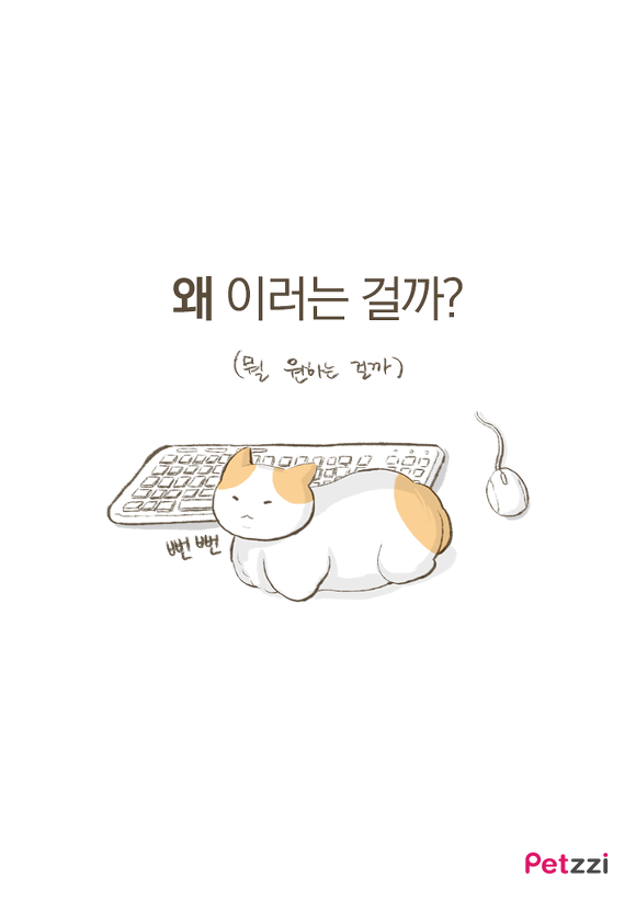 고양이들 컴퓨터 방해하는 이유(만화).jpg | 인스티즈