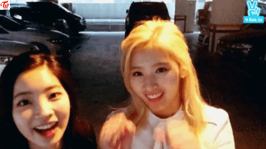 귀여운 강아지같은 사나 .gif | 인스티즈
