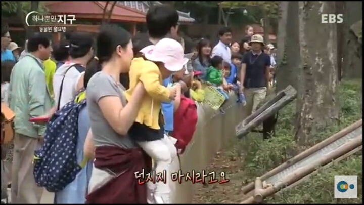 동물원 동물들이 월요병 생기는 이유 | 인스티즈