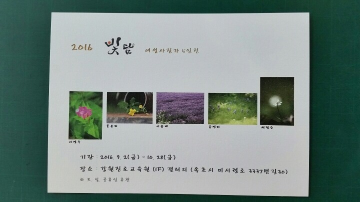 빛담 이미지