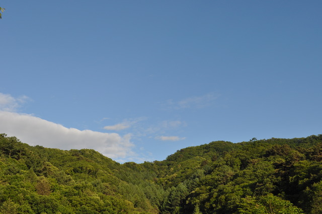 산천초목 이미지
