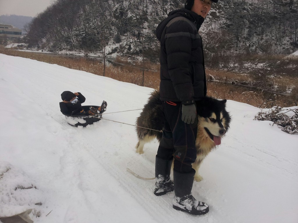 승민 이미지