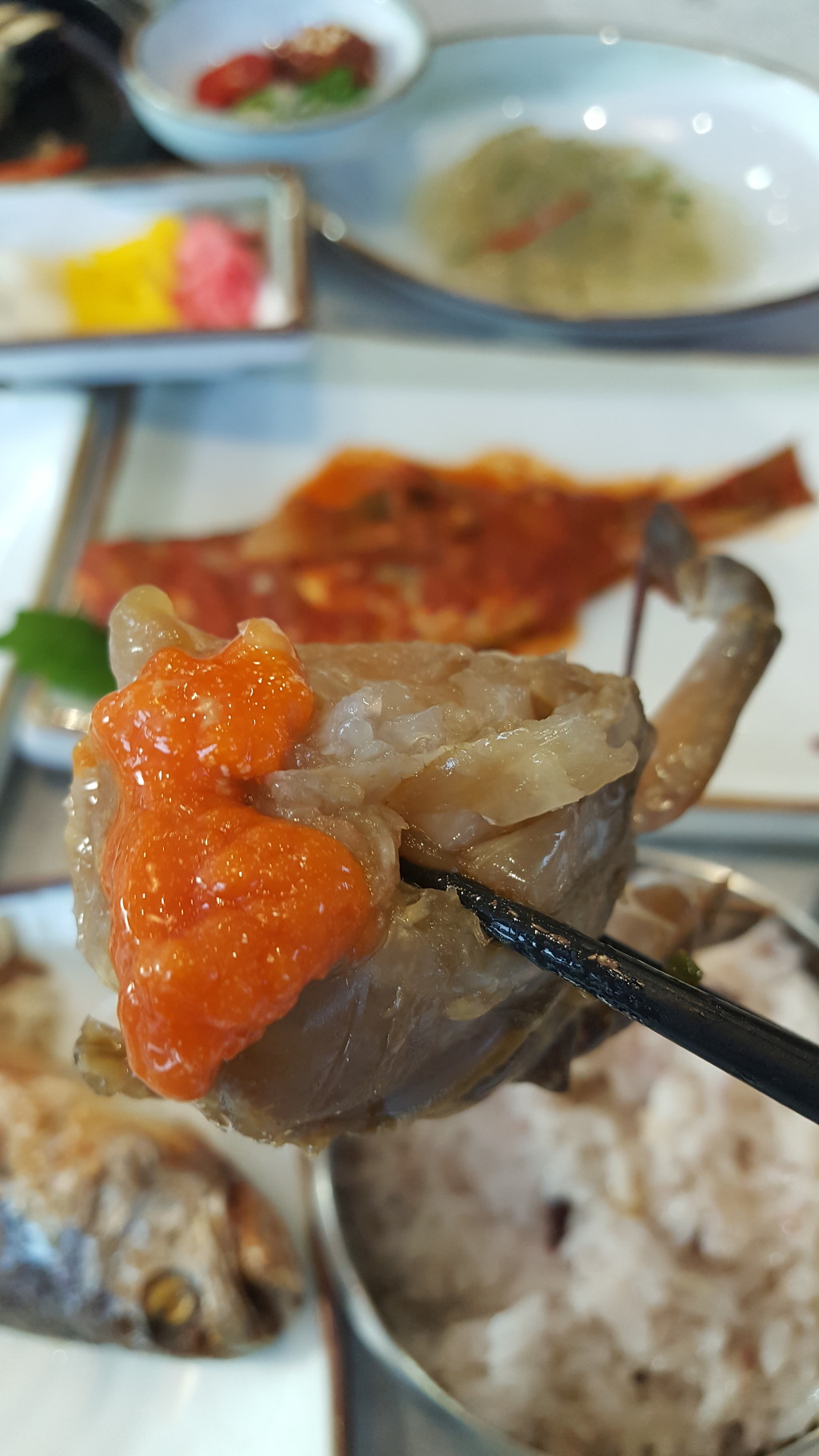 영광 맛집으로 유명한곳 | 인스티즈