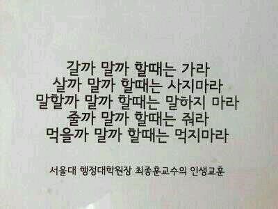 그라제 이미지
