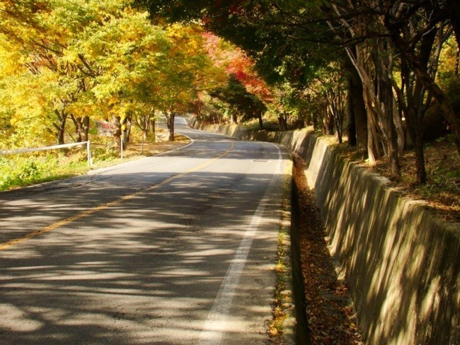대한민국 최고의 드라이브코스들 총망라 | 인스티즈