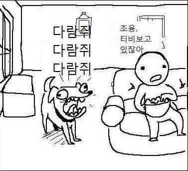 강아지 공감 | 인스티즈