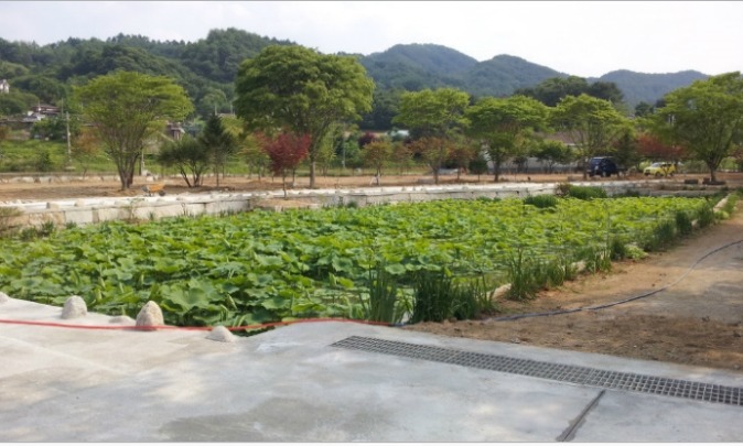 흙속의진주 이미지
