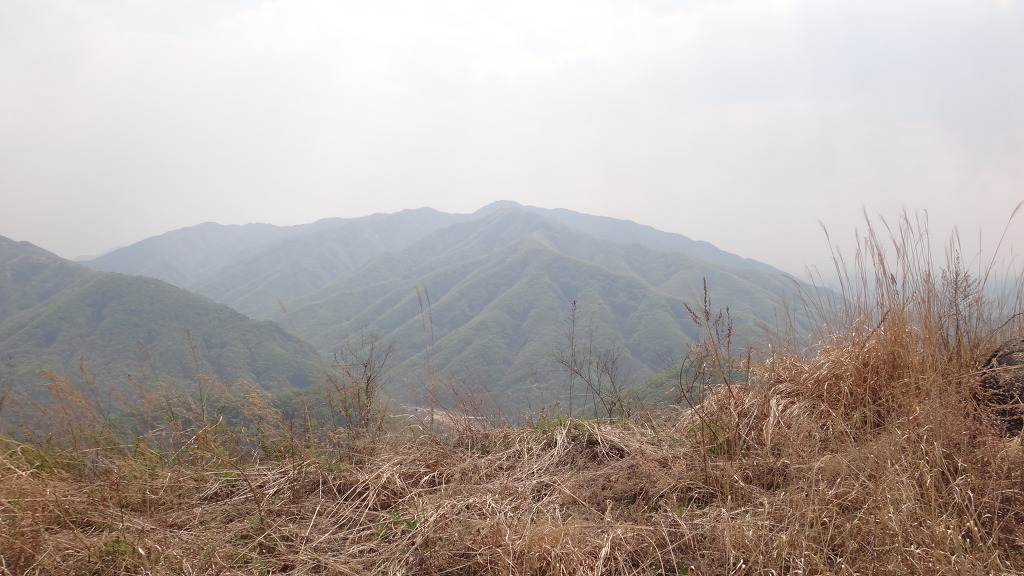 수정산 정상 이미지