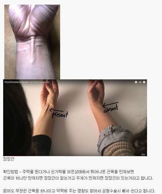 인구의 14%는 없는 근육 | 인스티즈