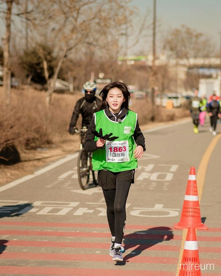 술시 이미지
