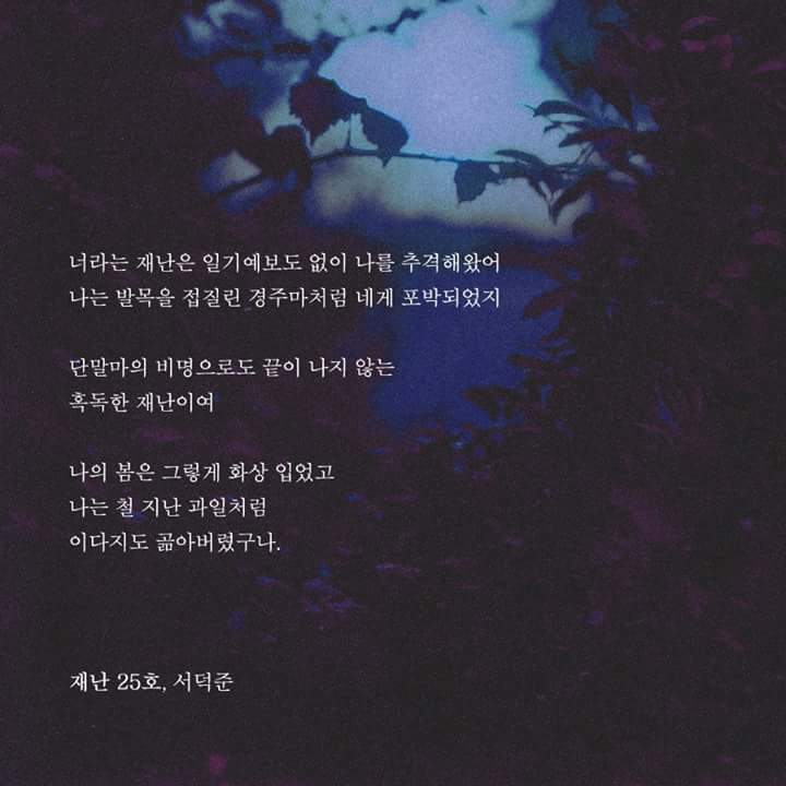 돼지오빠 이미지