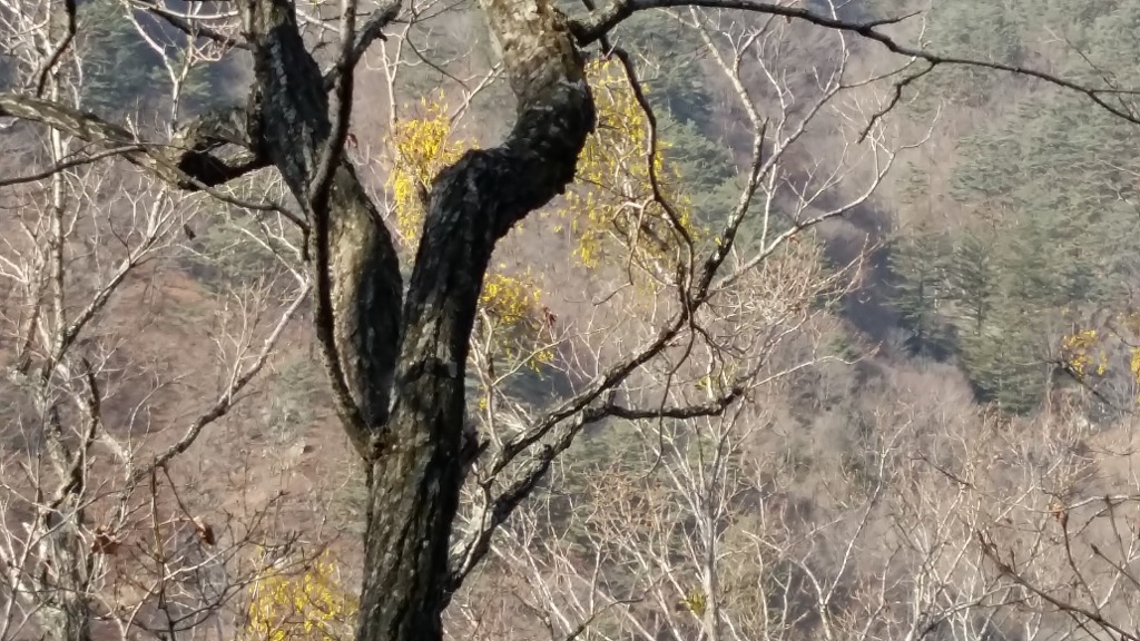 유텍주 이미지