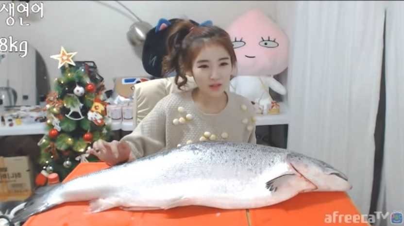 흔한 아프리카 BJ의 연어먹방 | 인스티즈