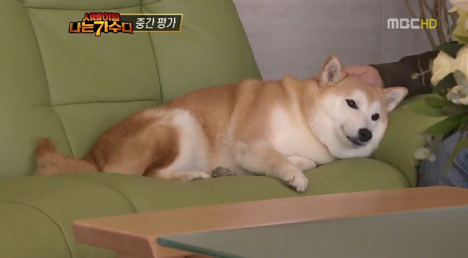 순수 이미지