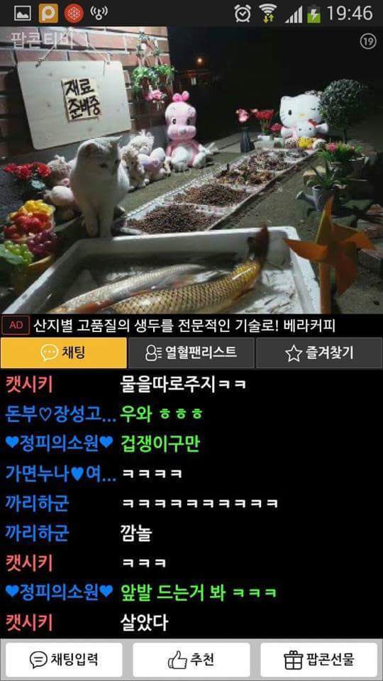 요즘 흔한 인터넷방송 먹방 BJ(feat.초호화 게스트) | 인스티즈