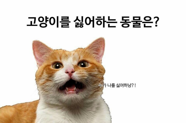 하나는 웃기겠지.JPG | 인스티즈