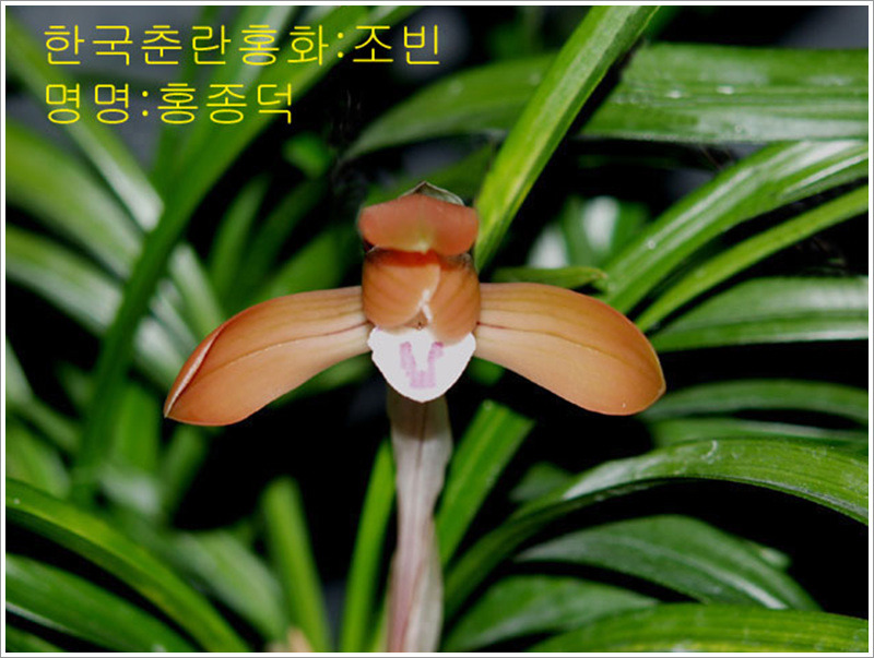 천향원 이미지