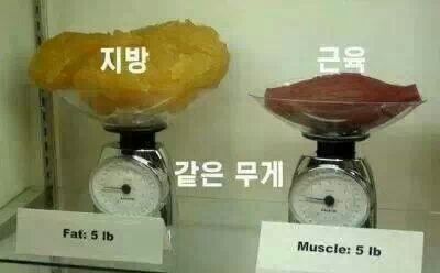 다이어트는 몸무게로 하는게 아닙니다 | 인스티즈