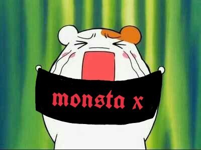 온리 이미지