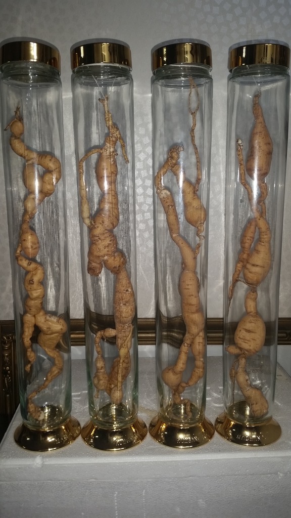 산삼애 이미지